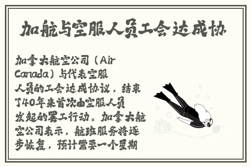 欧洲之星4D多久做一次